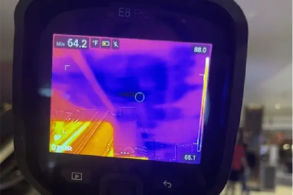 Thermal Water Damage Imaging - Billings, MT